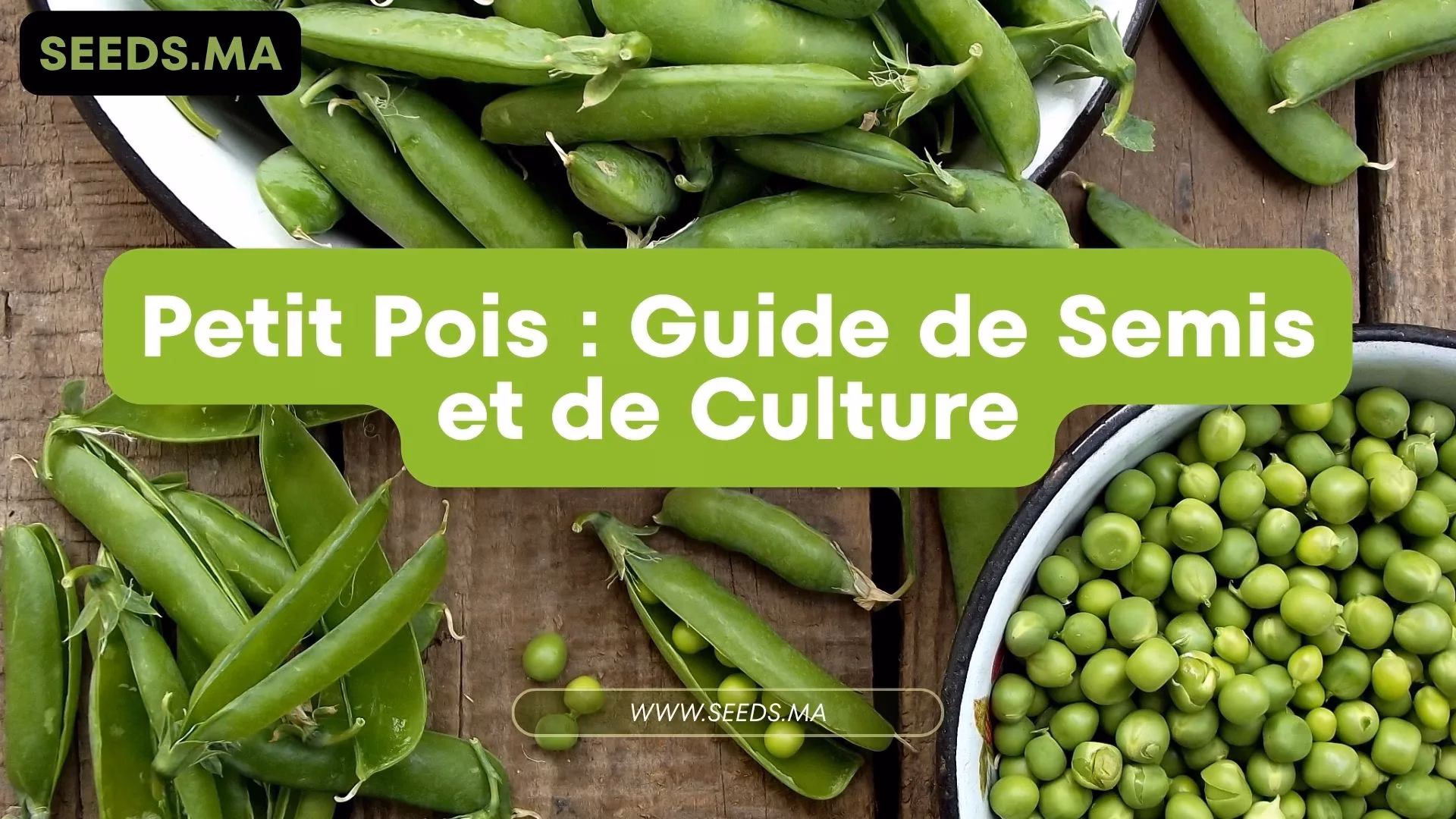 Petit Pois : Guide de Semis et de Culture