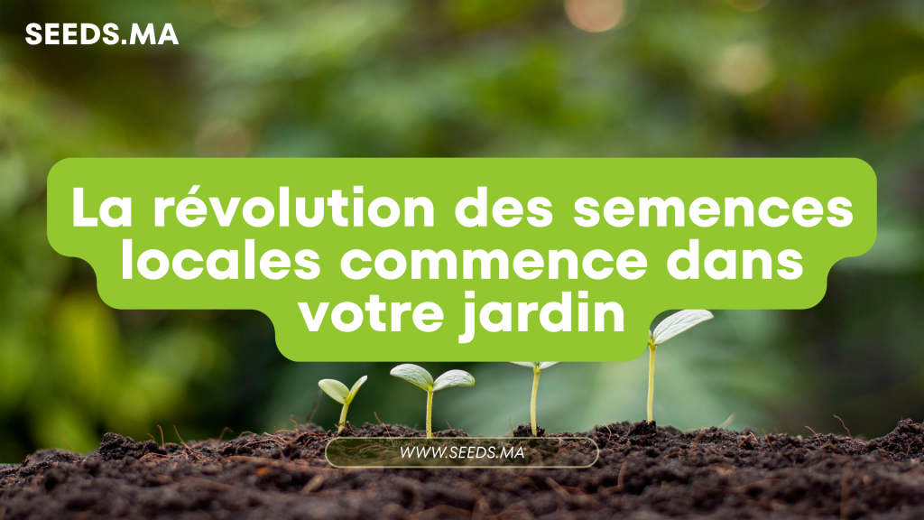 La révolution des semences locales commence dans votre jardin