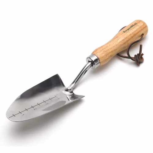 Transplanter